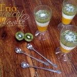 Trio tropical mangue vanille kiwi