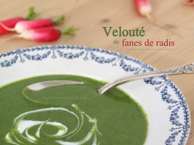 veloute-de-fanes-de-radis