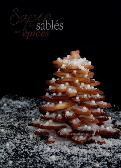 sapin-de-sables-aux-epices