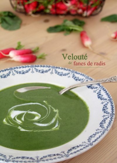 veloute-de-fanes-de-radis